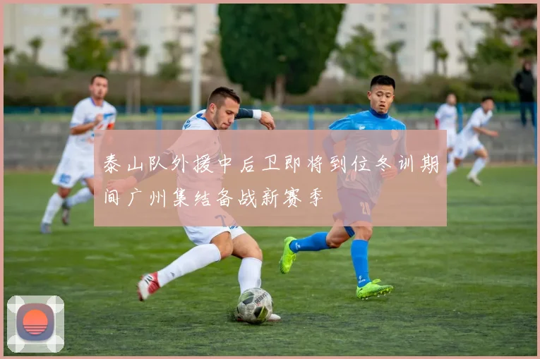 泰山队外援中后卫即将到位冬训期间广州集结备战新赛季